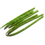 Moringa