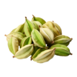 Green Cardamom