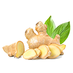 Ginger