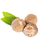Nutmeg