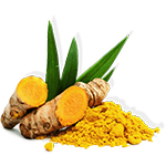 Turmeric