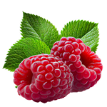 Raspberry Flavour